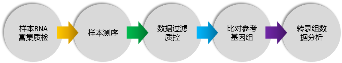 測(cè)序5.png