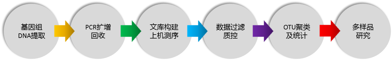 測(cè)序7.png